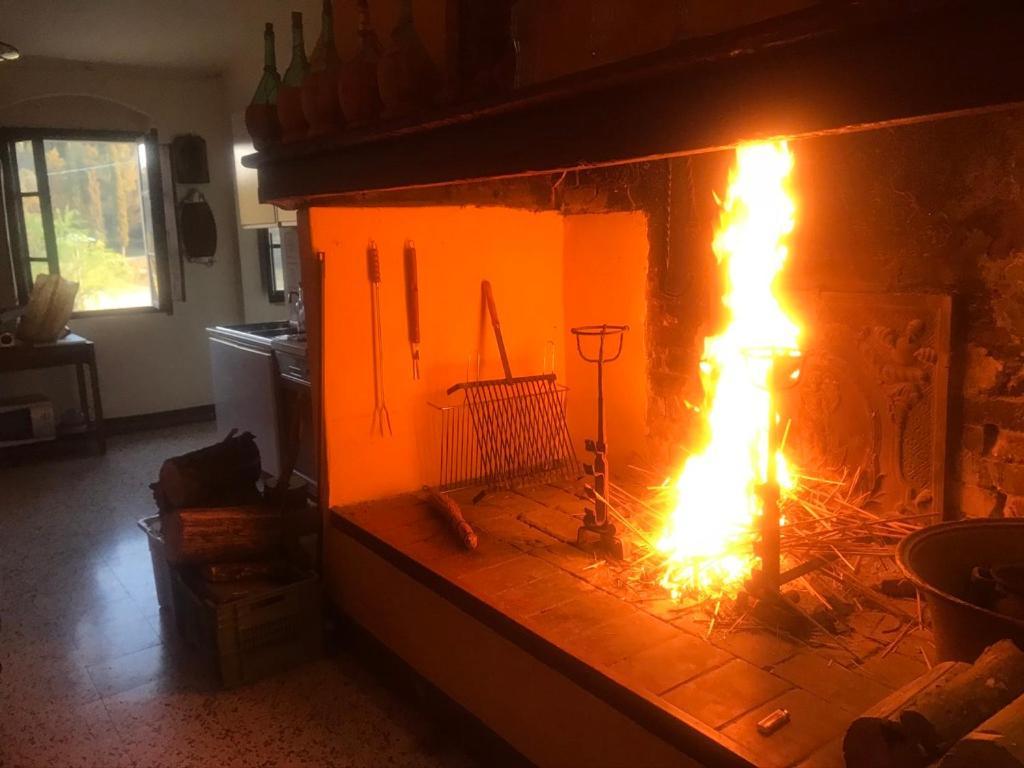 Peccioli Casa Vacanze Podere Marilla מראה חיצוני תמונה